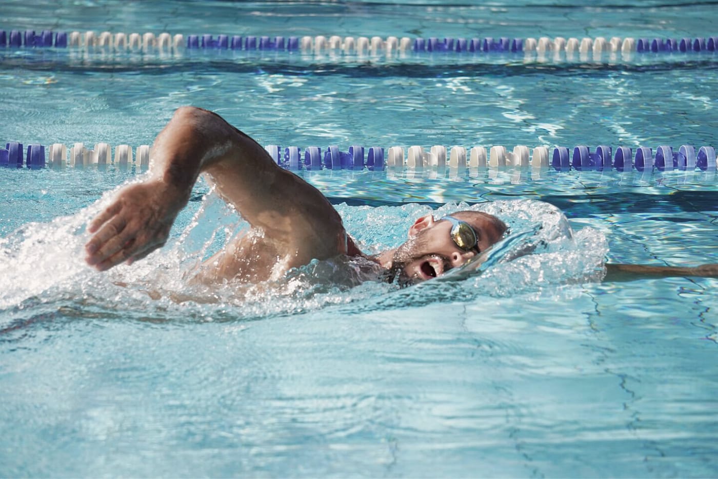 Cours de Natation pour Adultes Débutant à Maître David Lloyd Clubs